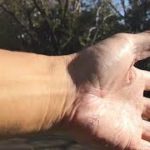 ケムトレイル爆撒きなので公園で声をかけてみました!
