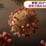 【新型コロナ】感染“増強”抗体を世界初発見(2021年5月25日)