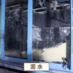 「黒い津波」明らかになった実態(東日本大震災)