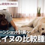 がんムーンショット計画:ヒトとイヌの比較腫瘍学/米国国立がん研究所(NCI)