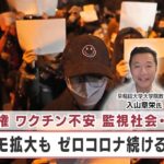 PCR利権 ワクチン不安 監視社会… 中国デモ拡大も ゼロコロナ続ける裏事情【日経プラス9】(2022年11月29日)