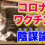 新型コロナワクチン陰謀論【質疑応答】【メンタリストDaiGoまとめ切り抜き】
