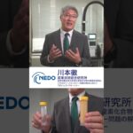 【NEDOムーンショット目標4】プロジェクトマネージャーが研究開発を紹介!限界の地球を救う窒素化合物リサイクル/川本徹(産業技術総合研究所)#shorts #NEDO #moonshot