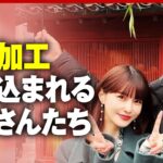 【加工】ありのままじゃダメ?"写真加工アプリ"巻き込まれるおじさんの本音|ABEMA的ニュースショー