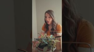 Is Chat GPT crunchy!?