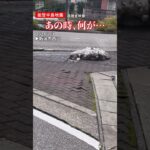 【うねる路面】なぜ?…新潟で撮影された不気味な現象 能登半島地震…その瞬間 #shorts
