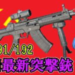 AKやAR-15の遺伝子に加え中国独自の要素も組み込んだ先進自動小銃"QBZ191"【ゆっくり銃器解説#137】(QBZ192、QBU191、QBA221、CS/LR42等)