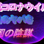 新型コロナウイルスの陰謀 真実 真相